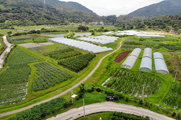 G22恒峰集团市能源电力服务有限公司1